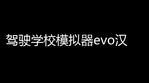 超凡先锋小叮当外挂,驾驶学校模拟器evo汉化版